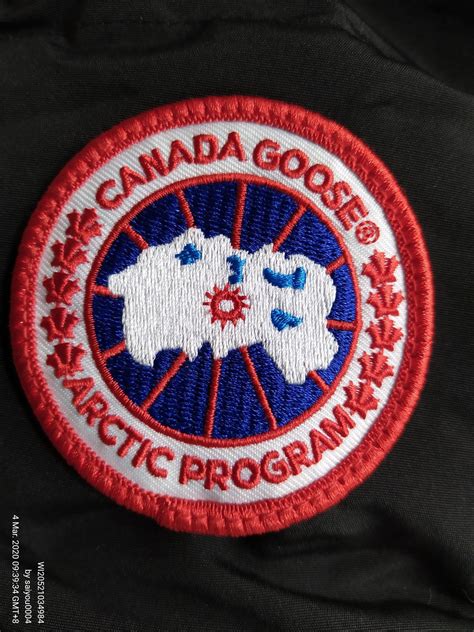 feiyu canada goose yupoo